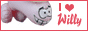 willy.gif