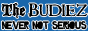 Budiez2.png
