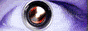 archived 88x31 button #82336
