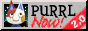 purrl.gif