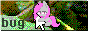 coffeebug.gif