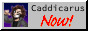 caddicarusnowbutton.jpg