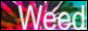 WEED2.png