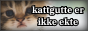 kattgutte.png