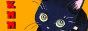 archived 88x31 button #82602