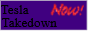 teslatakedown.png