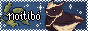 noitibo.png