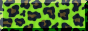 lime-panterprint.png