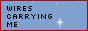 wirescarryingme.png