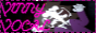 vinny.png