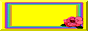 yellowhibiscus.gif