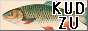 kudzu.png