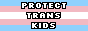 trans.gif