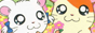 hamtaro.png