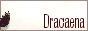 archived 88x31 button #83156