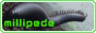 millipede.png