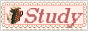study-button.png