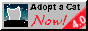 adopt-a-cat.gif