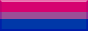 bi.png
