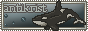 antikrist.png