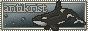 antikrist.png