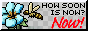 buttonnow.gif