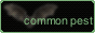 commonpestbutton.gif