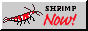 bigharlequinm.png