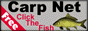 carp.png