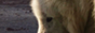 archived 88x31 button #84198