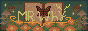 HhANLic.gif