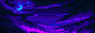 button.gif