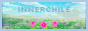 innerchile.png
