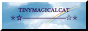 tinymagicalcat.png
