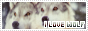 archived 88x31 button #84640
