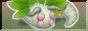 R_Cherubble.png