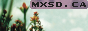 mxsdbutton.png