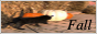 fall.png