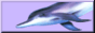 maddoxxing.png