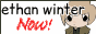 ethan-winters.png