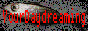 Link1.png