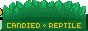 candiedreptile.gif
