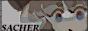 sachersketchbook-button.png