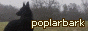 poplarbark.gif