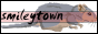 smileytown3.gif