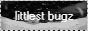 littlest-bugz.png