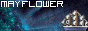 mayfl0wer.gif