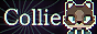 collie_button.png