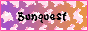 bunquest.png