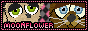 moonflowerpetz_5.gif
